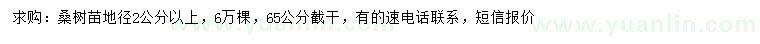 求購(gòu)地徑2公分以上桑樹
