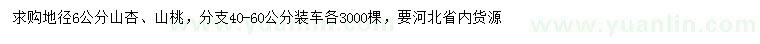 求購地徑6公分山杏、山桃
