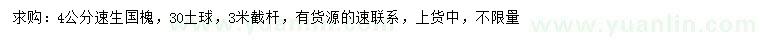求購4公分速生國槐