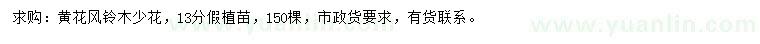求購(gòu)13公分黃花風(fēng)鈴木