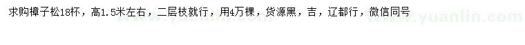 求購高1.5米左右樟子松