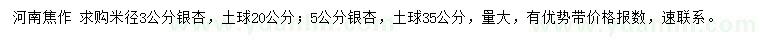 求購米徑3公分銀杏