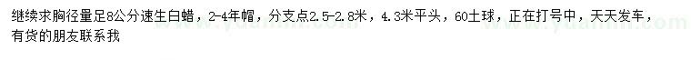 求購胸徑足8公分速生白蠟
