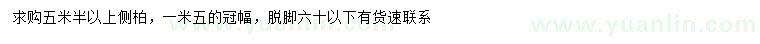 求購5.5米以上側(cè)柏