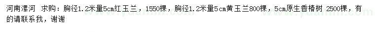 求購紅玉蘭、黃玉蘭、香椿