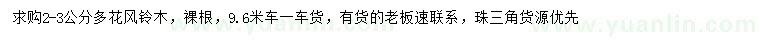 求購2-3公分多花風(fēng)鈴木