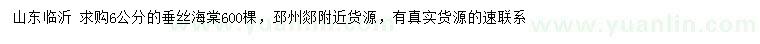 求購6公分垂絲海棠