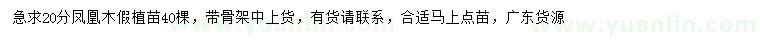求購20公分鳳凰木