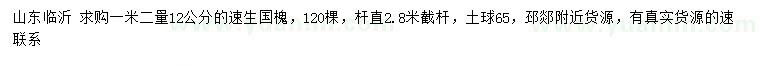 求購(gòu)1.2米量12公分速生國(guó)槐