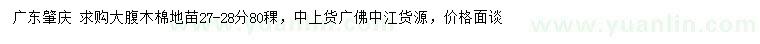 求購27-28公分大腹木棉