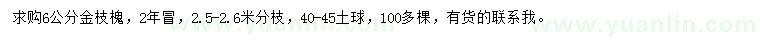 求購6公分金枝槐