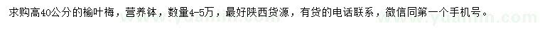 求購高40公分榆葉梅