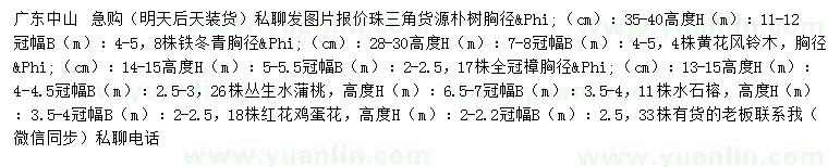 求購樸樹、鐵冬青、黃花風(fēng)鈴木等