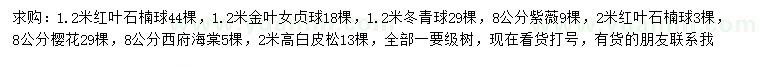 求購紅葉石楠球、金葉女貞球、冬青球等