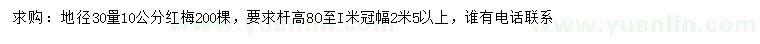 求購地徑30量10公分紅梅