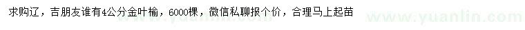 求購(gòu)4公分金葉榆