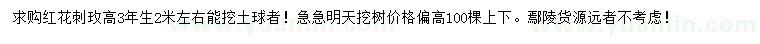 求購高2米紅花刺玫
