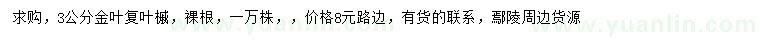 求購(gòu)3公分金葉復(fù)葉槭