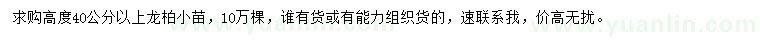 求購高度40公分以上龍柏