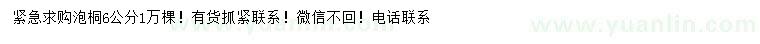 求購6公分泡桐