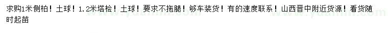 求購(gòu)1米側(cè)柏、1.2米塔檜