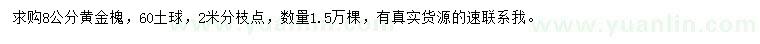 求購8公分黃金槐