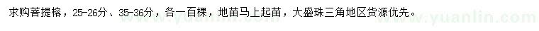 求購25-26、35-36公分菩提榕