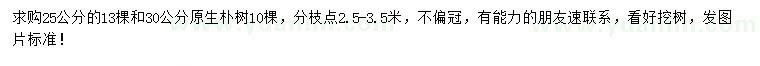 求購25、30公分樸樹
