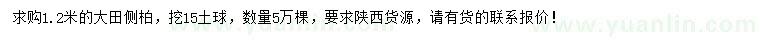 求購(gòu)1.2米大田側(cè)柏