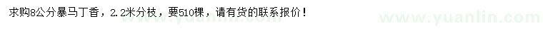 求購8公分暴馬丁香