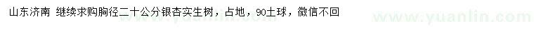 求購胸徑20公分銀杏
