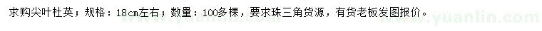 求購18公分左右尖葉杜英