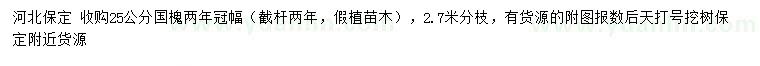 求購25公分國槐
