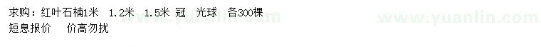 求購冠幅1、1.2、1.5米紅葉石楠