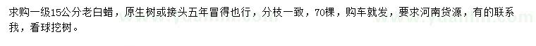 求購15公分老白蠟