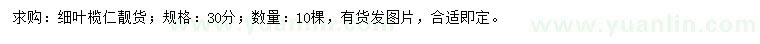 求購(gòu)30公分細(xì)葉欖仁