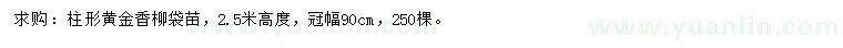 求購高2.5米黃金香柳