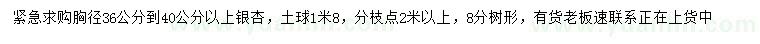 求購(gòu)胸徑36-40公分銀杏