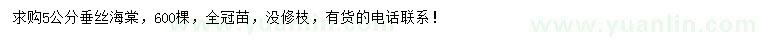 求購5公分垂絲海棠