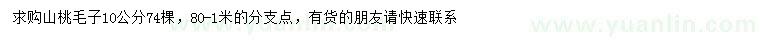 求購(gòu)10公分山桃毛子