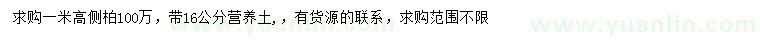 求購高1米側(cè)柏