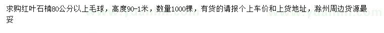 求購80公分以上紅葉石楠毛球