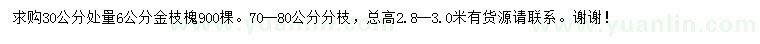 求購30量6公分金枝槐