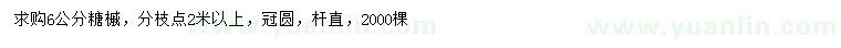 求購6公分糖槭