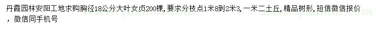 求購胸徑18公分大葉女貞