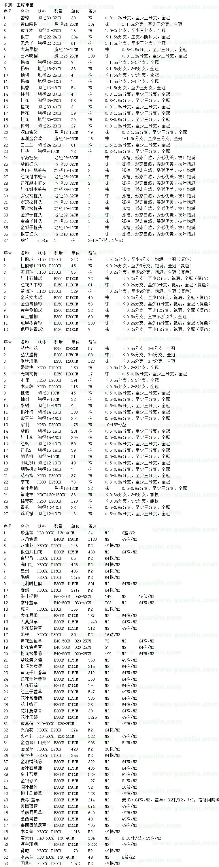 求購(gòu)香樟、黃山欒、黃連木等