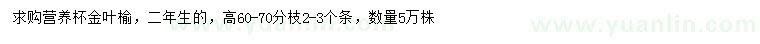 求購高60-70公分金葉榆