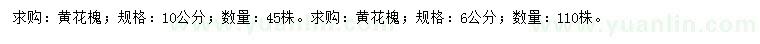 求購6、10公分黃花槐