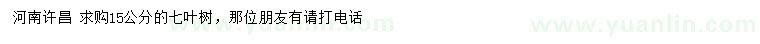 求購15公分七葉樹