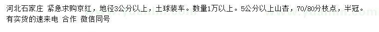 求購地徑3公分以上京紅、5公分以上山杏